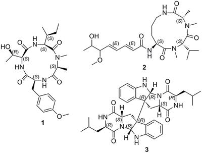 New Anti-inflammatory Cyclopeptides From a Sponge-Derived Fungus Aspergillus violaceofuscus